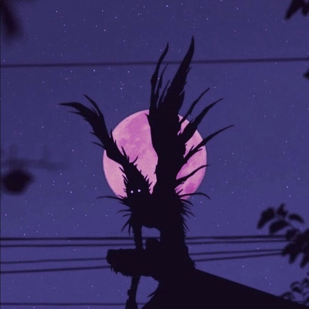 Meet your Posher, Jess